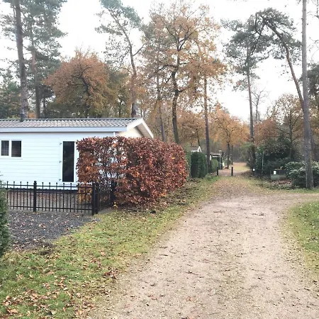 Bosrand 42 Park Veluwshof 6 P Hoenderloo