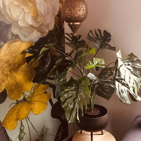 Bosrand 42 Park Veluwshof 6 P Hoenderloo