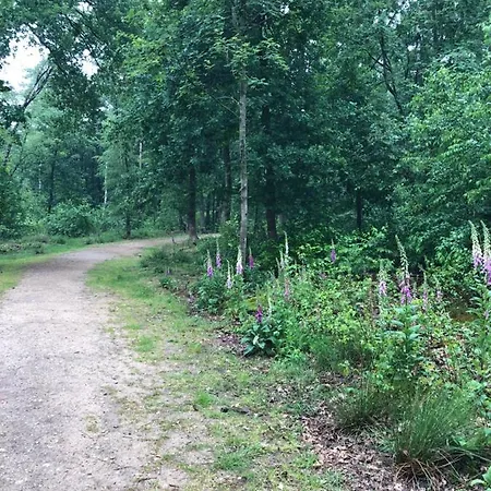 Bosrand 42 Park Veluwshof 6 P