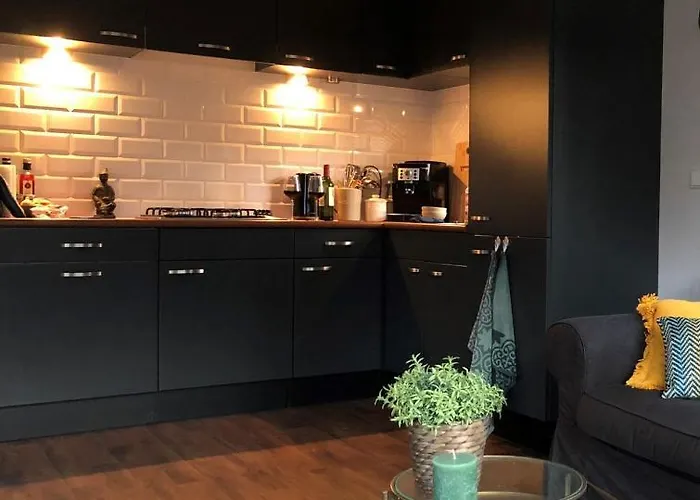 Domek alpejski Bosrand 42 Park Veluwshof 6 P Hoenderloo