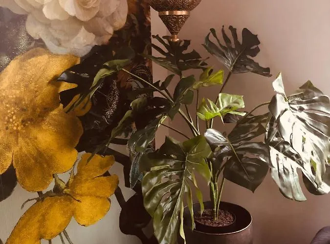 Bosrand 42 Park Veluwshof 6 P Hoenderloo