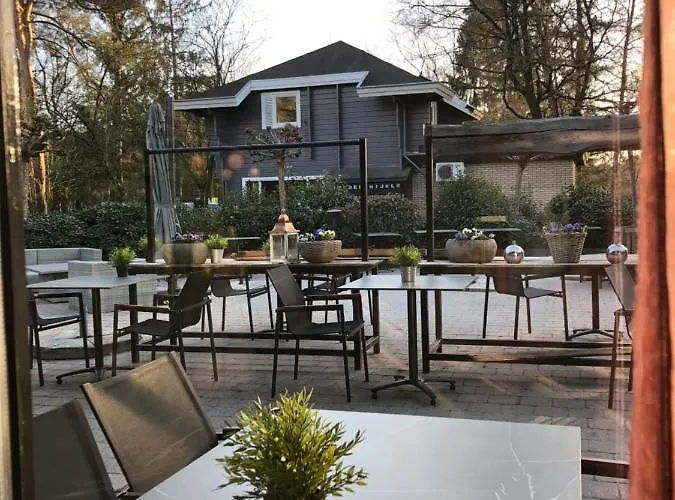 Dağ evi Bosrand 42 Park Veluwshof 6 P Hoenderloo