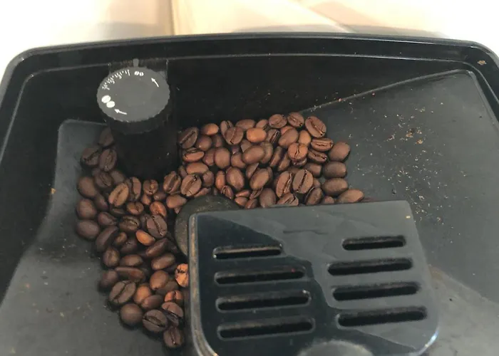 Chalet Bosrand 42 Park Veluwshof 6 P Hoenderloo