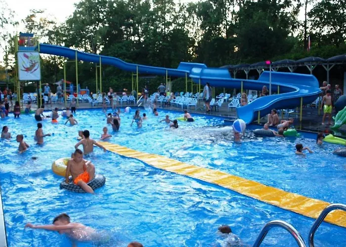 Bosrand 42 Park Veluwshof 6 P Chalet Hoenderloo