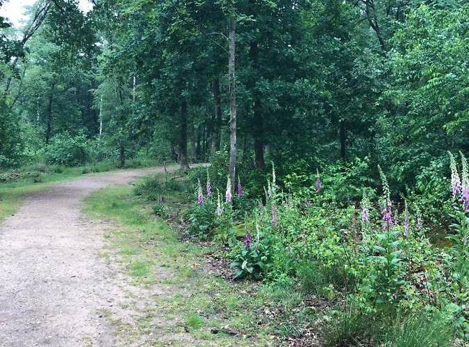 Bosrand 42 Park Veluwshof 6 P